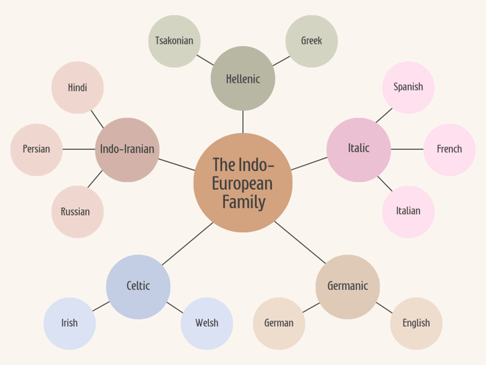 Examples of some modern languages in the Indo-European family along with their branches