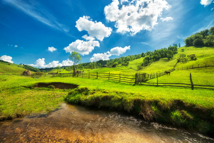 Summer in the countryside